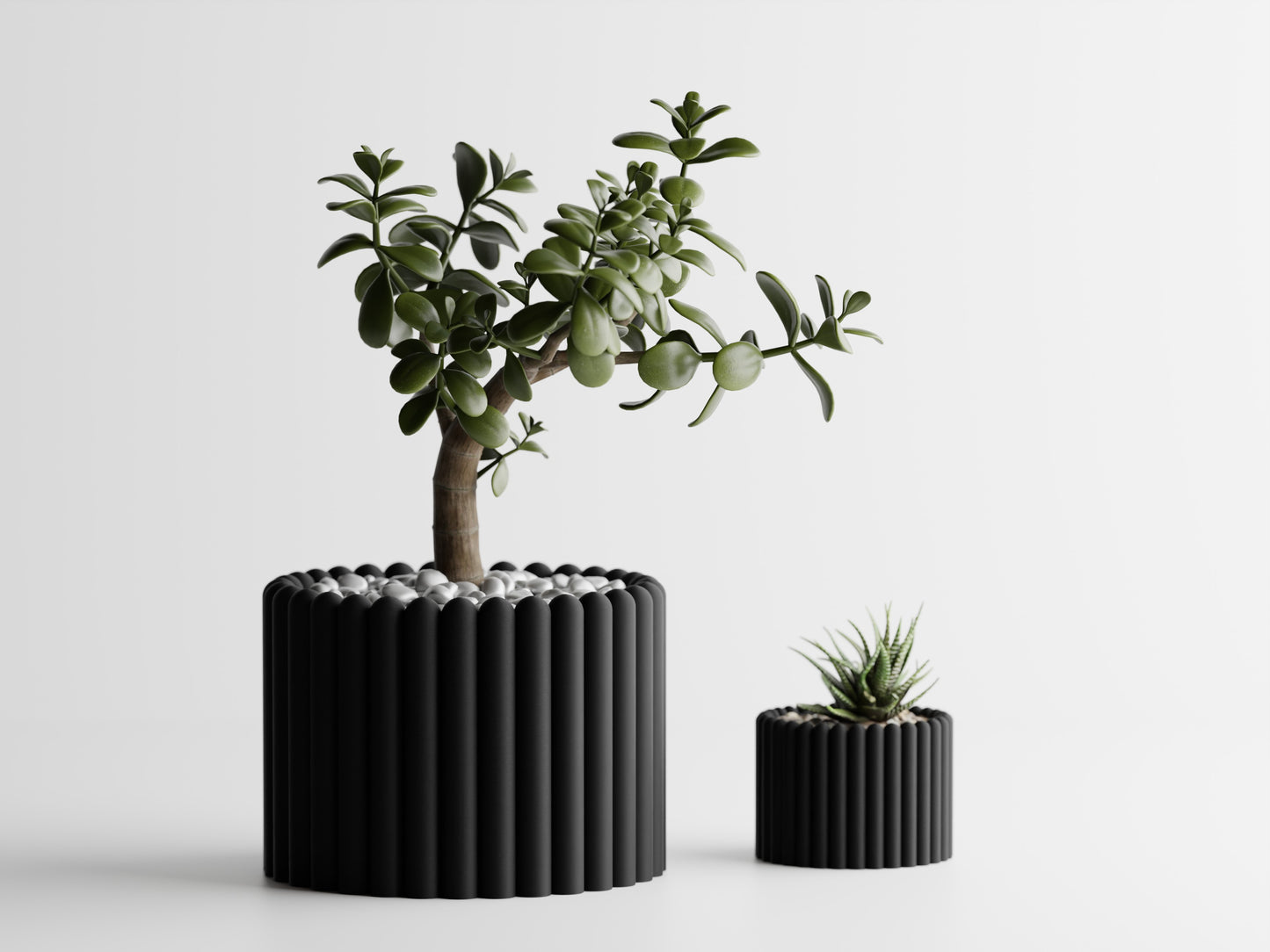 Fascis Planter