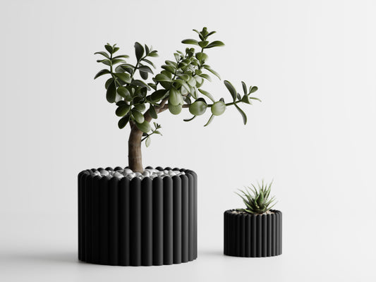 Fascis Planter