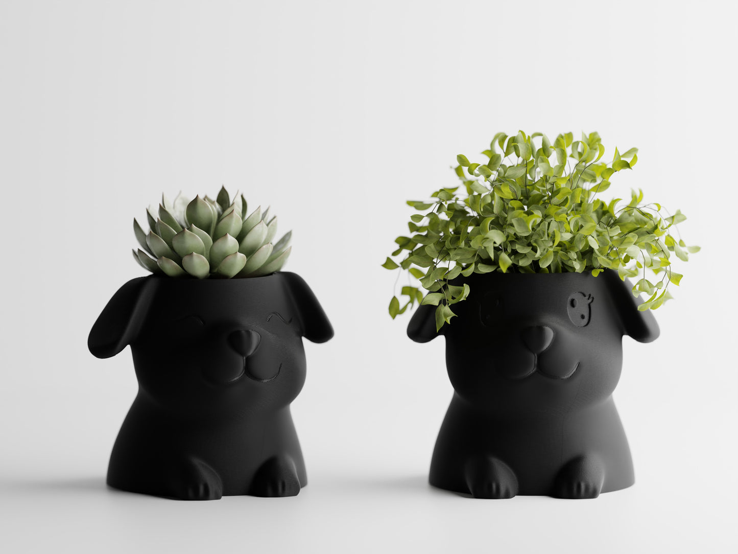 Fido Planter