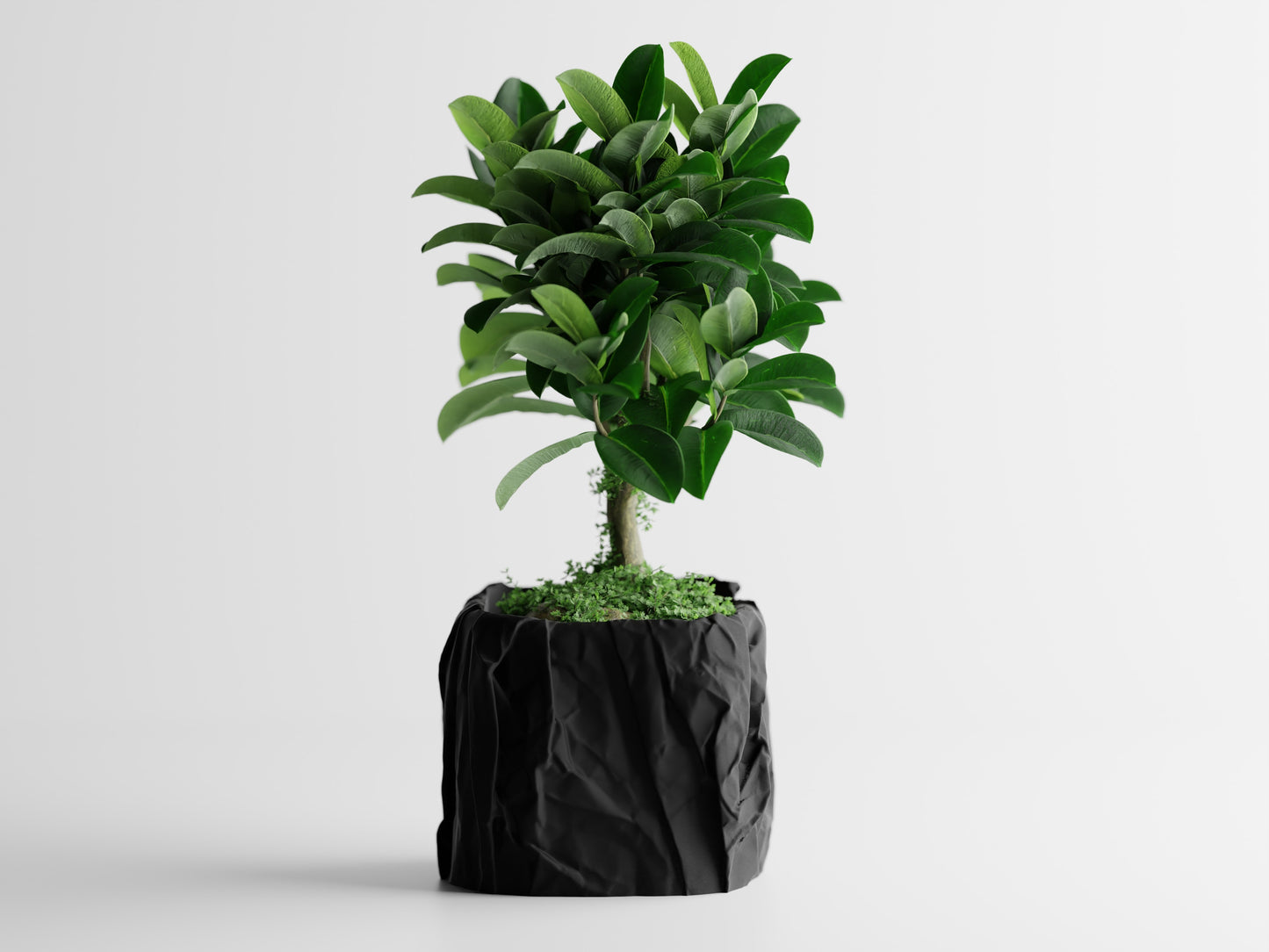Papira Planter (Rechteckig)