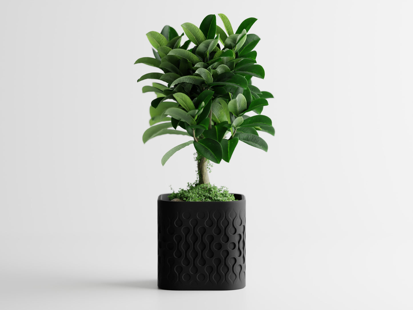 Pulse Planter