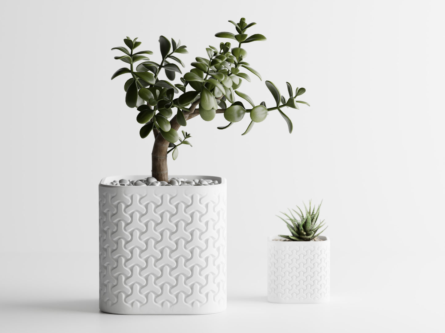 Seraphis Planter