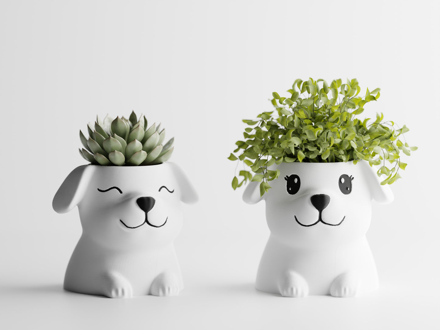 Fido Planter