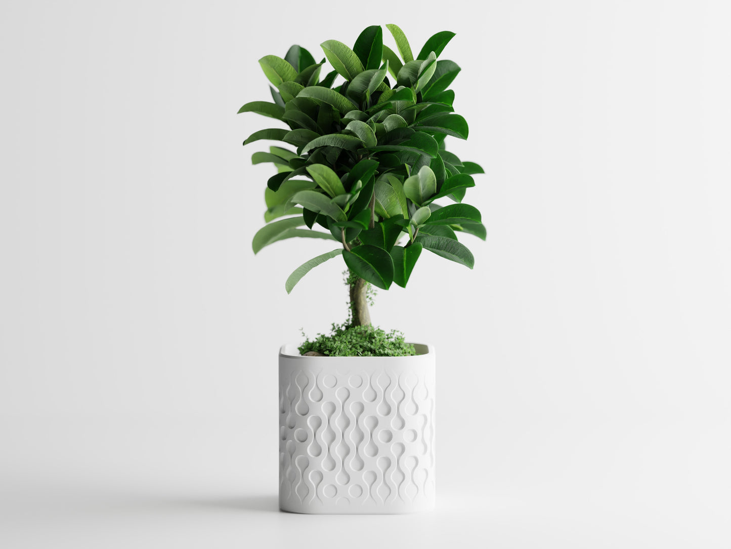 Pulse Planter