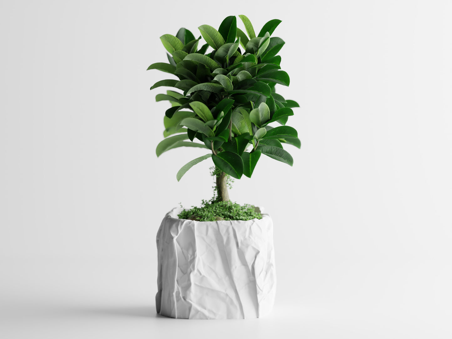 Papira Planter (Rechteckig)