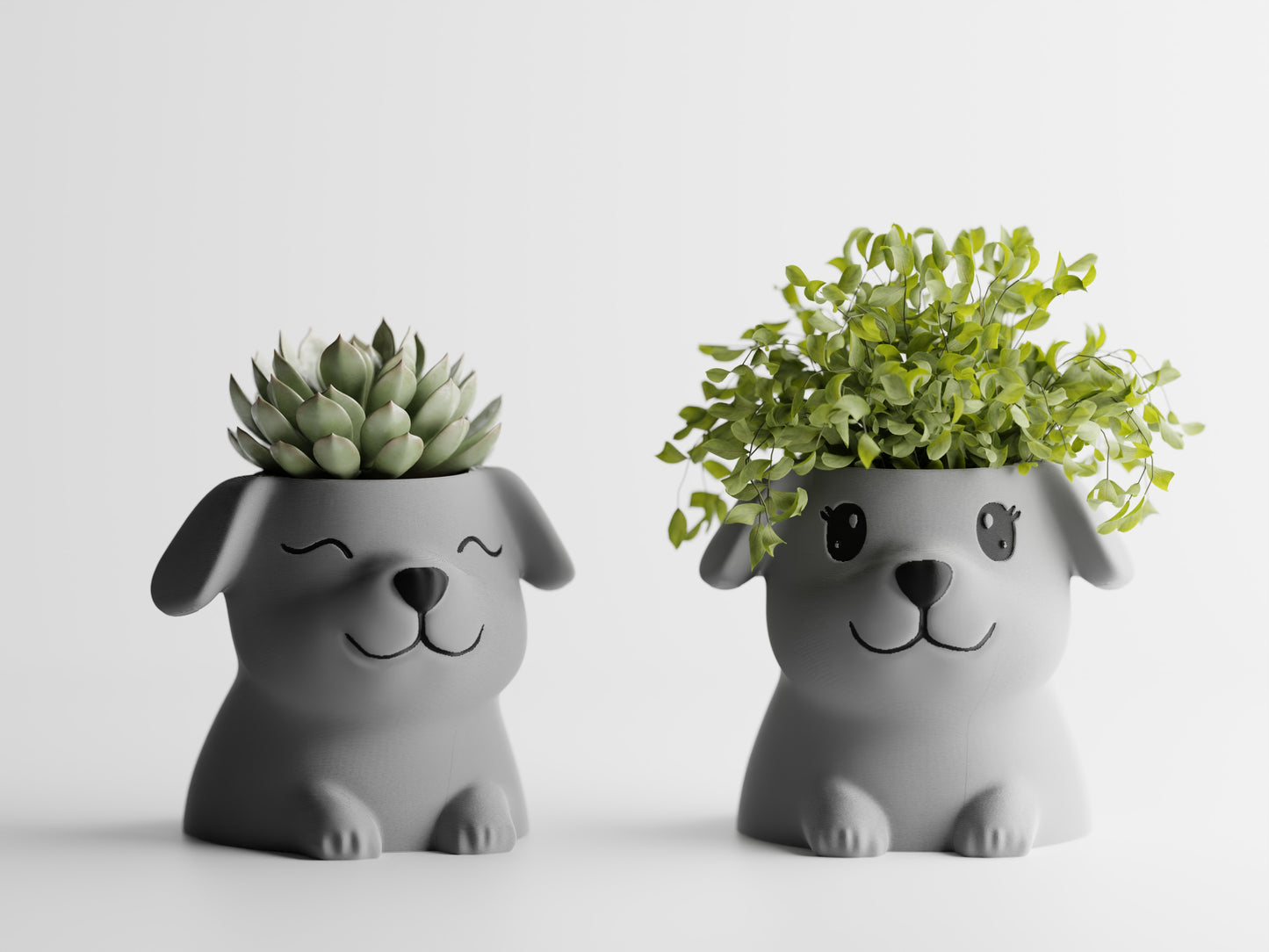 Fido Planter