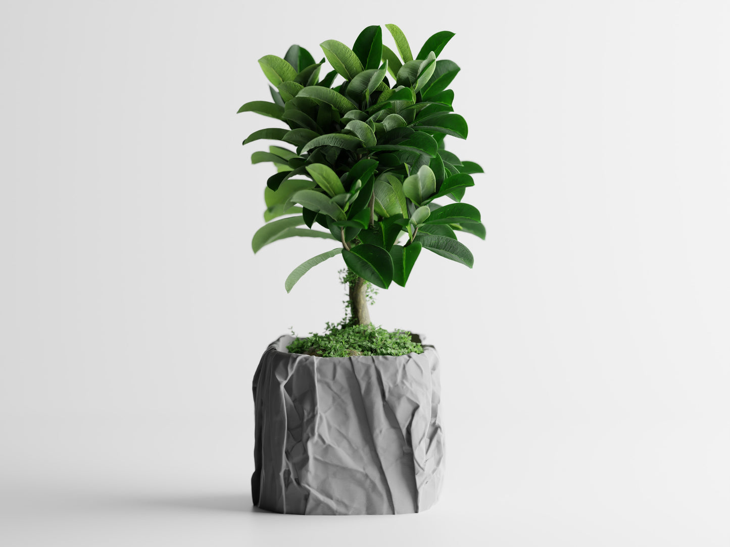 Papira Planter (Rechteckig)