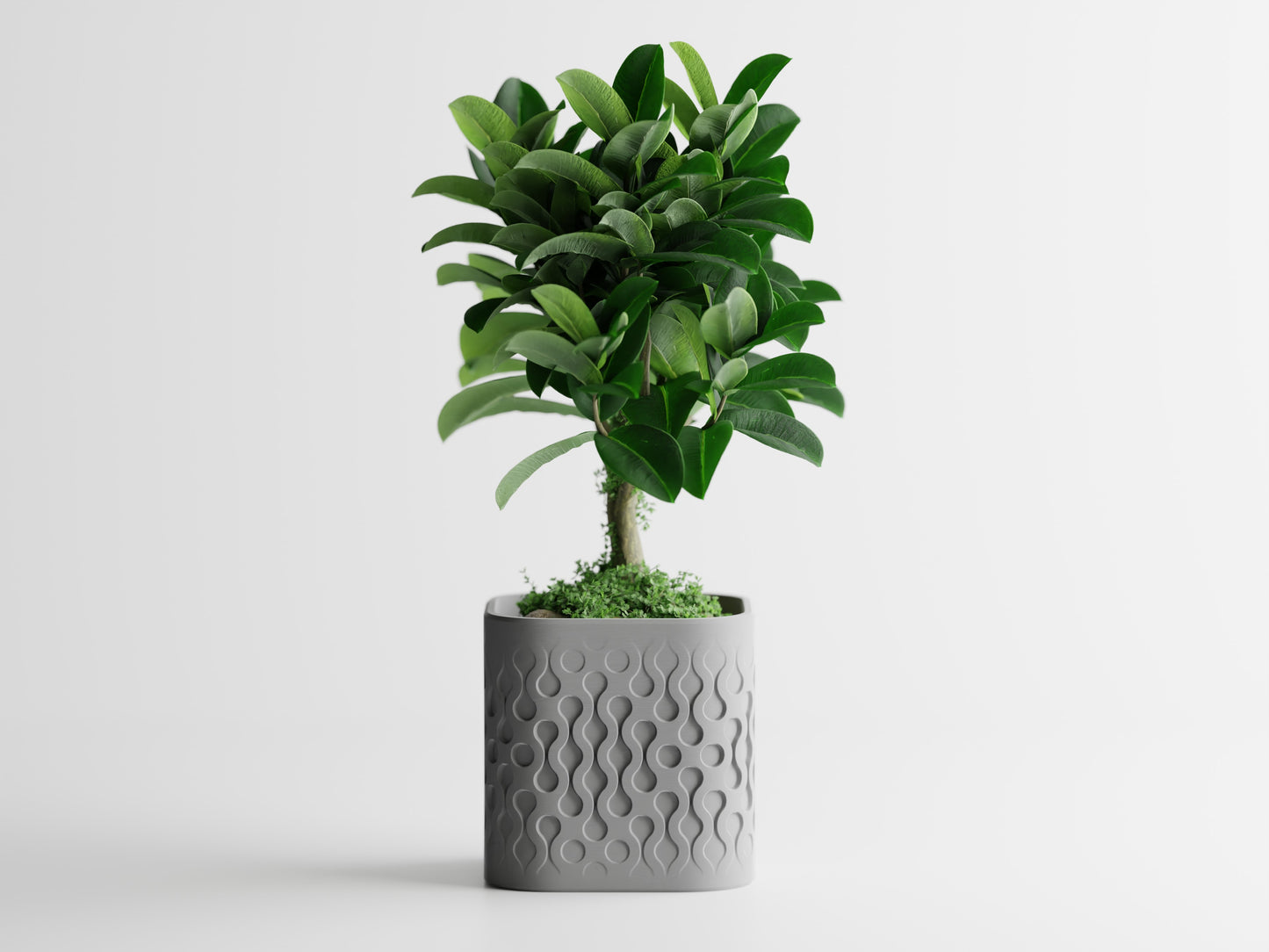 Pulse Planter