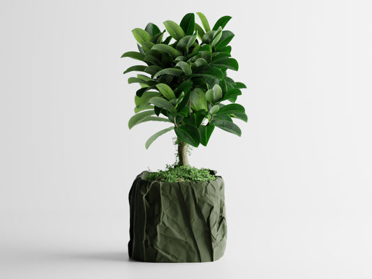 Papira Planter (Rechteckig)