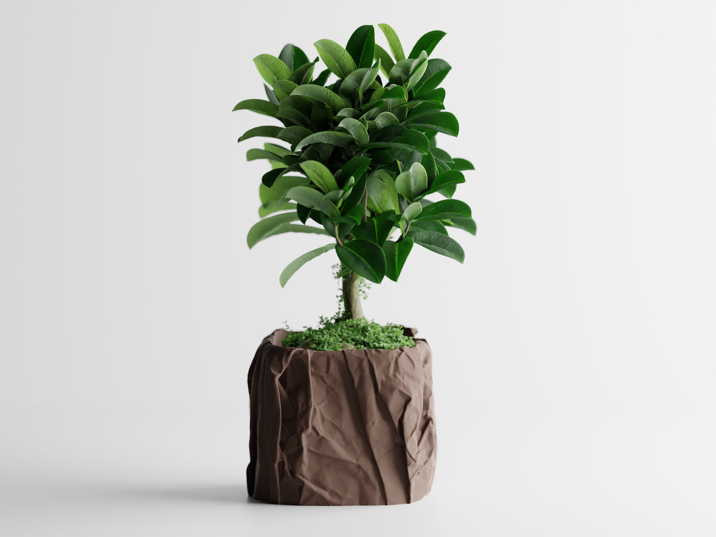 Papira Planter (Rechteckig)