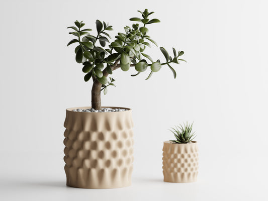 Dentata Planter
