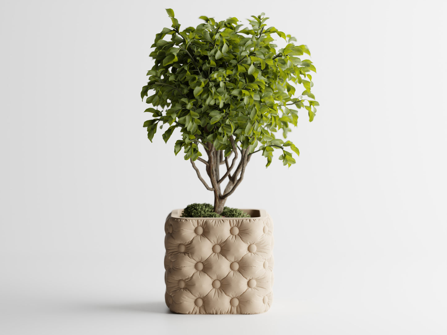 Luxterra Planter