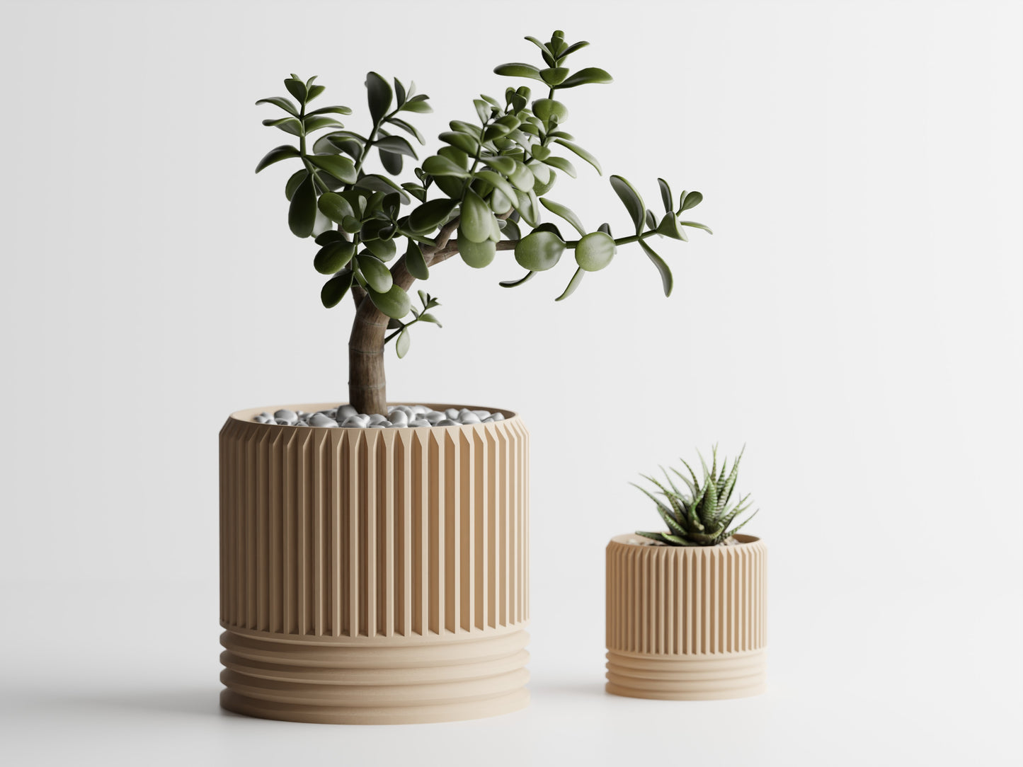 Dualis Planter