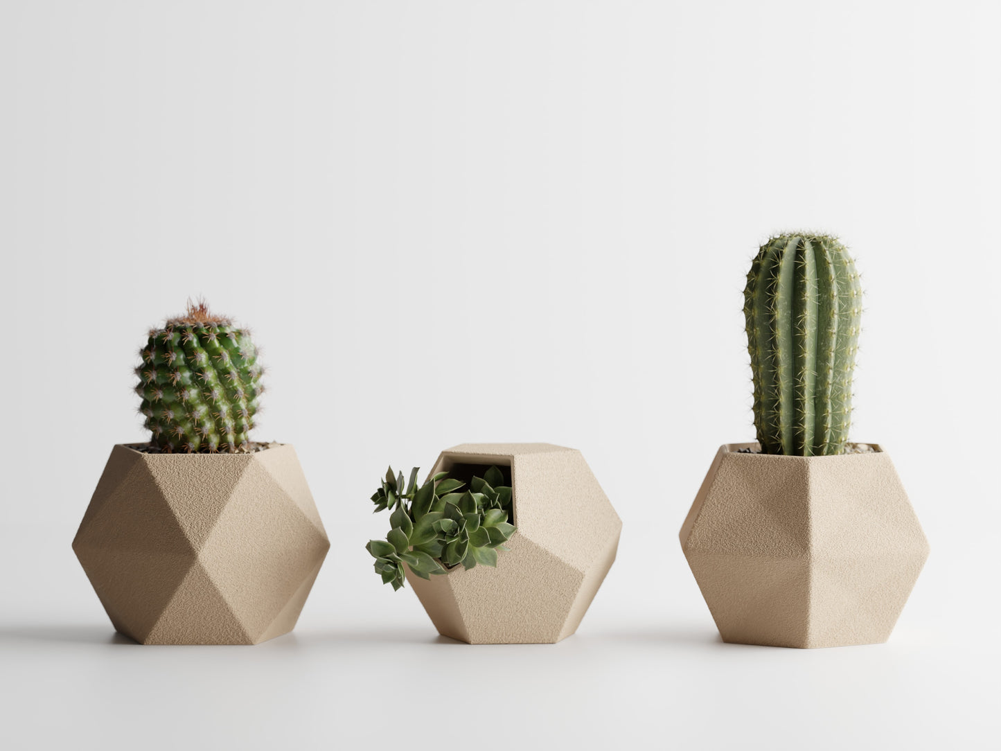 GeoTrio Planter