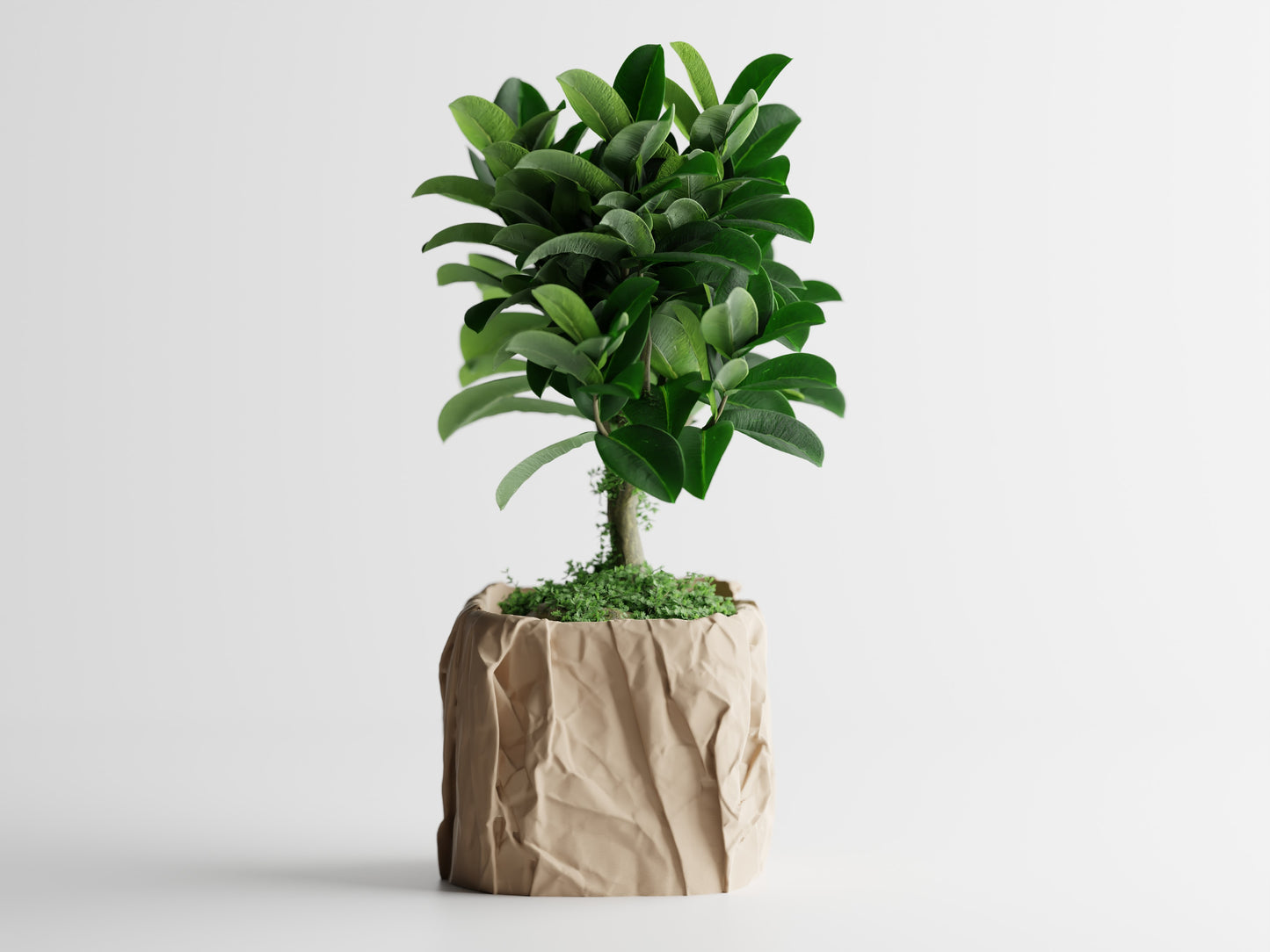 Papira Planter (Rechteckig)