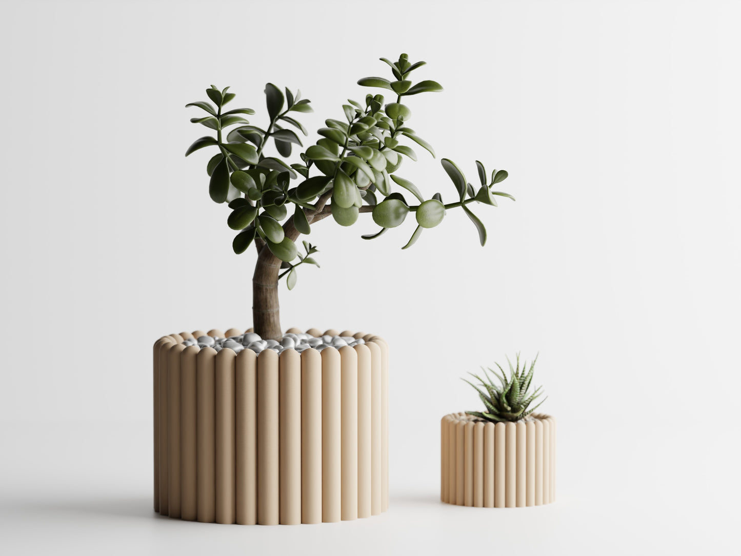 Fascis Planter