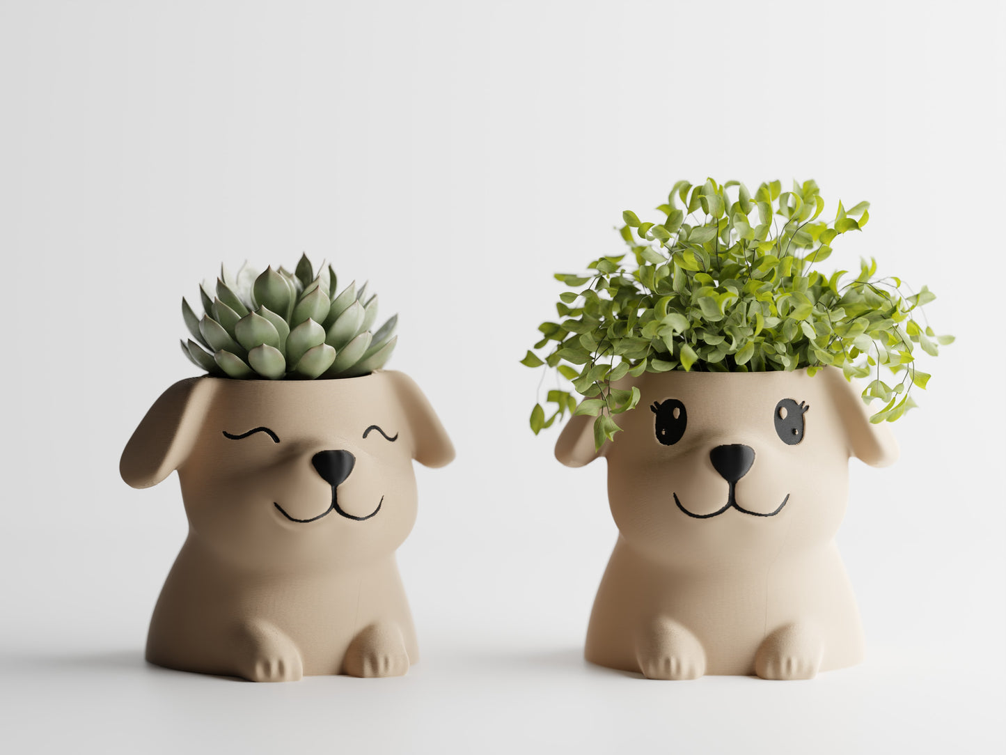 Fido Planter