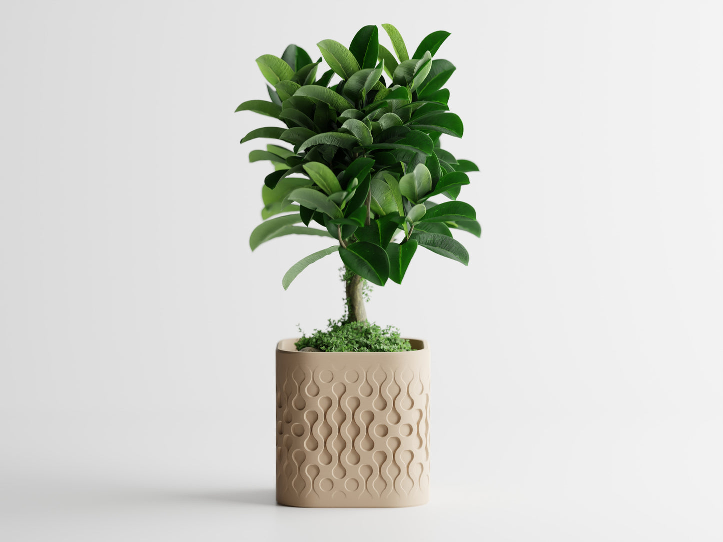 Pulse Planter