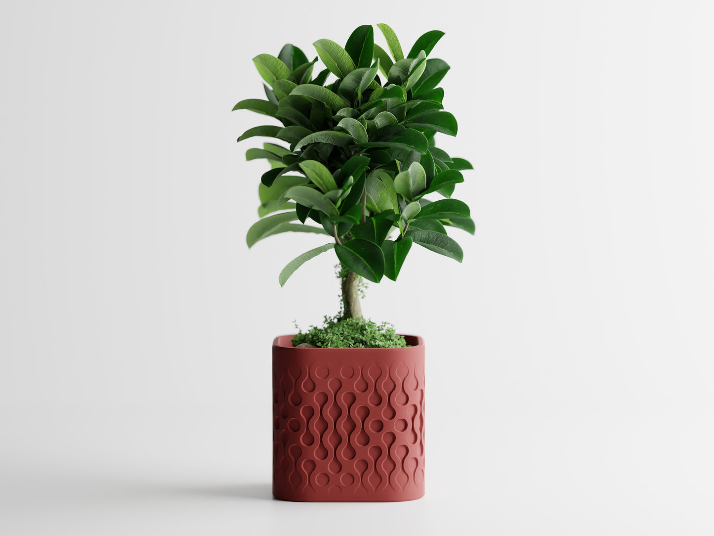 Pulse Planter