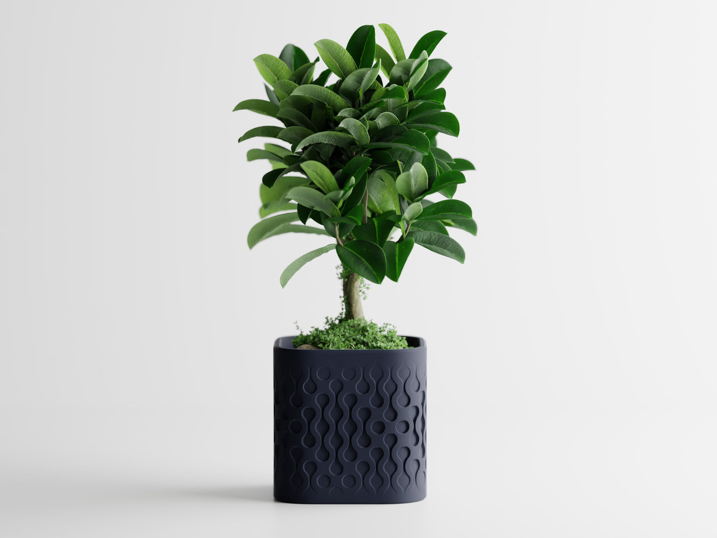 Pulse Planter
