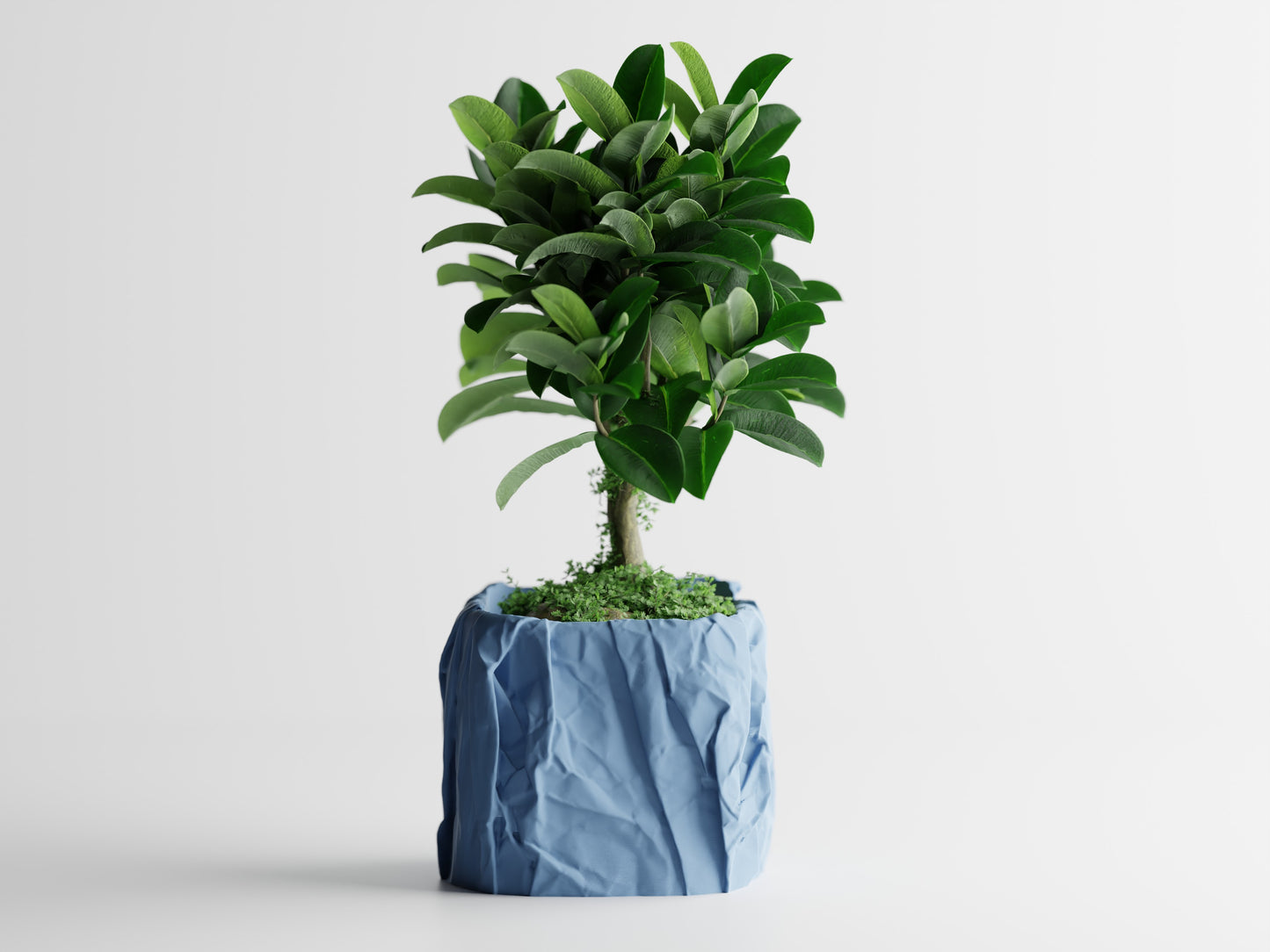 Papira Planter (Rechteckig)