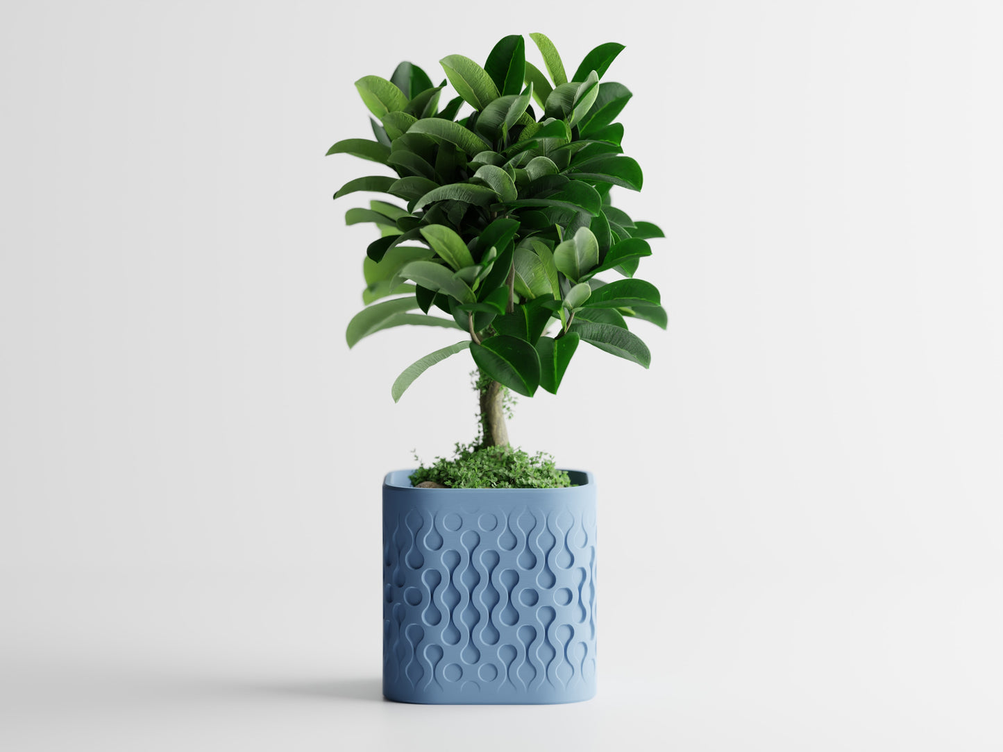 Pulse Planter