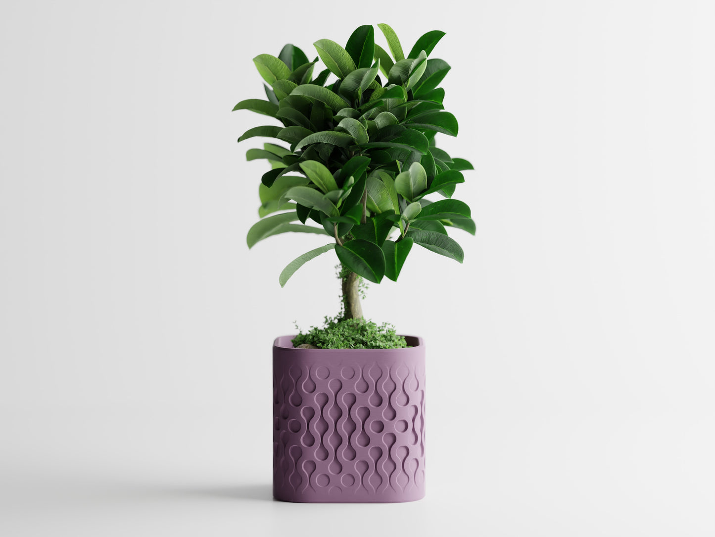 Pulse Planter