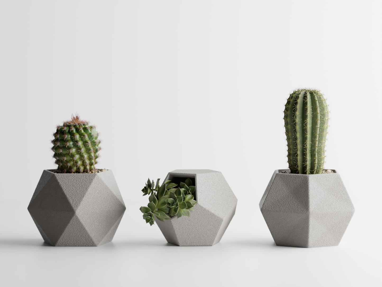 GeoTrio Planter