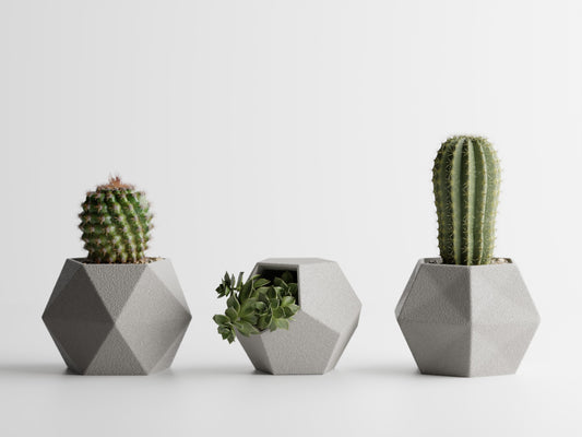 GeoTrio Planter