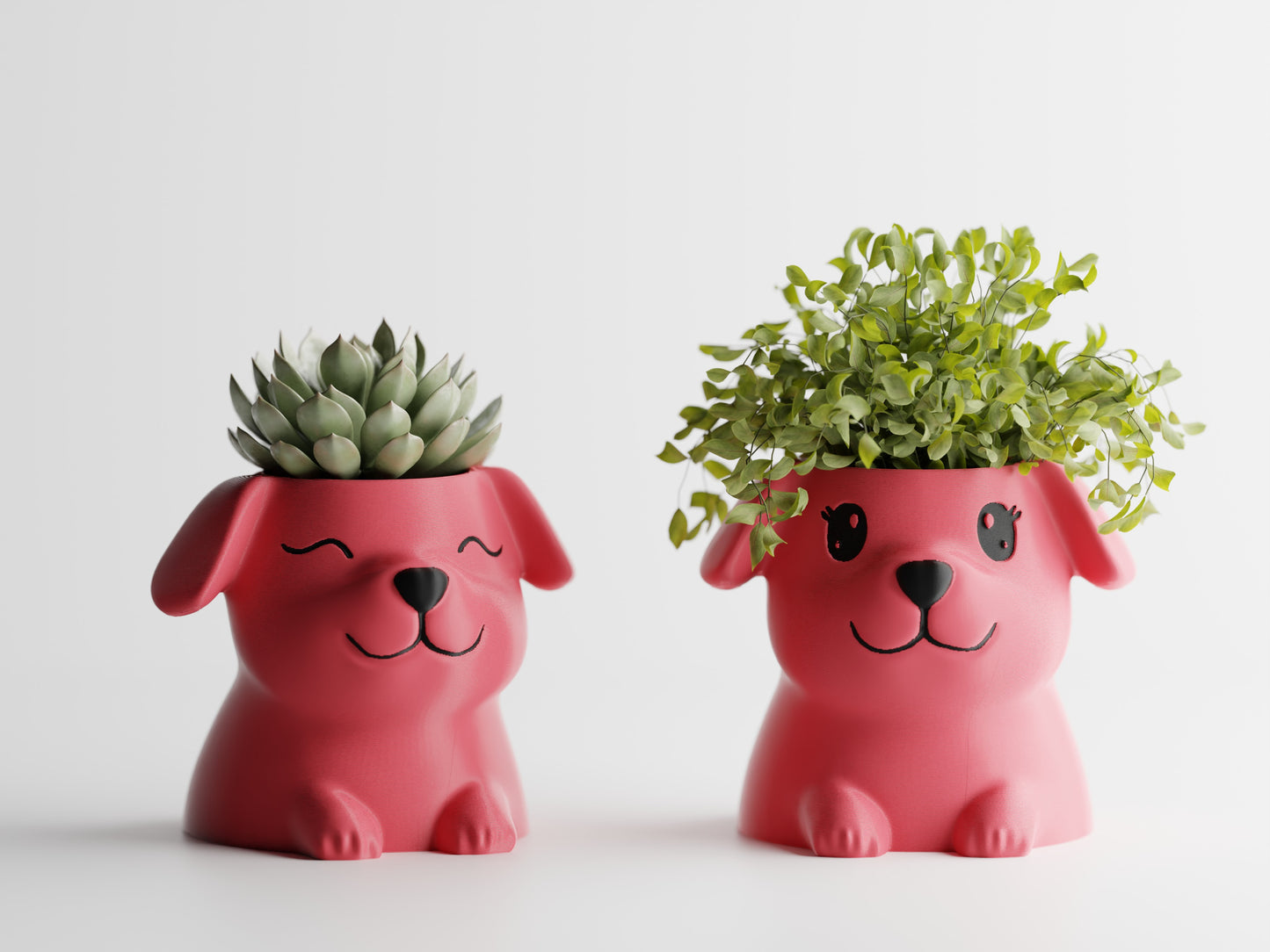 Fido Planter