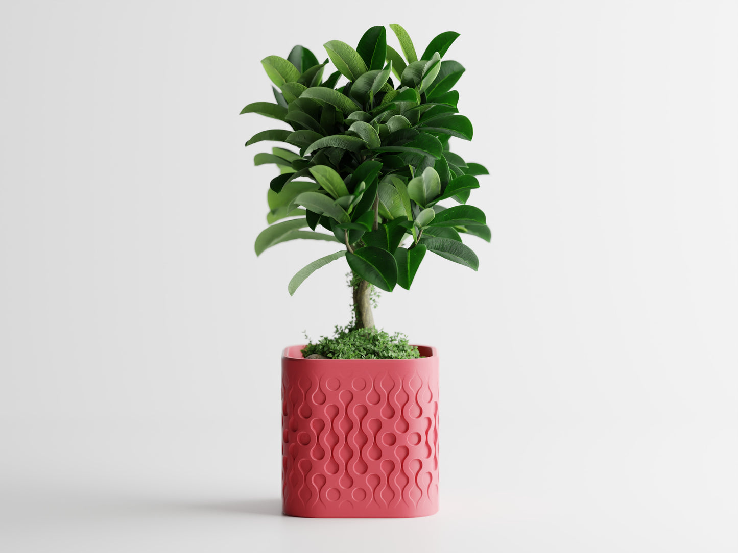 Pulse Planter