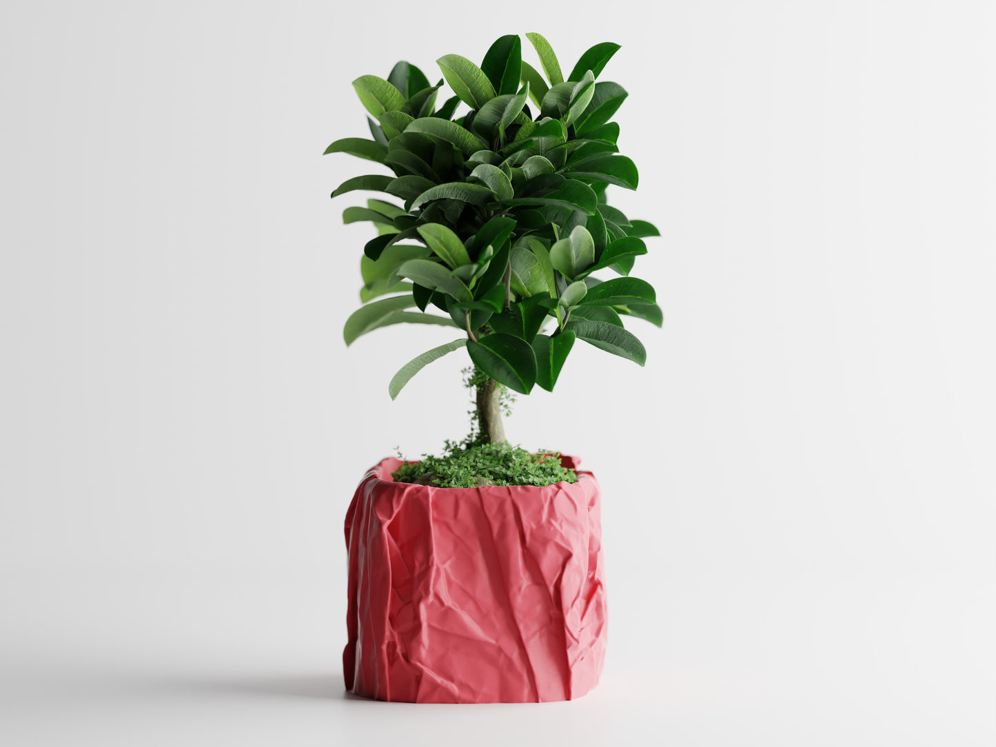 Papira Planter (Rechteckig)