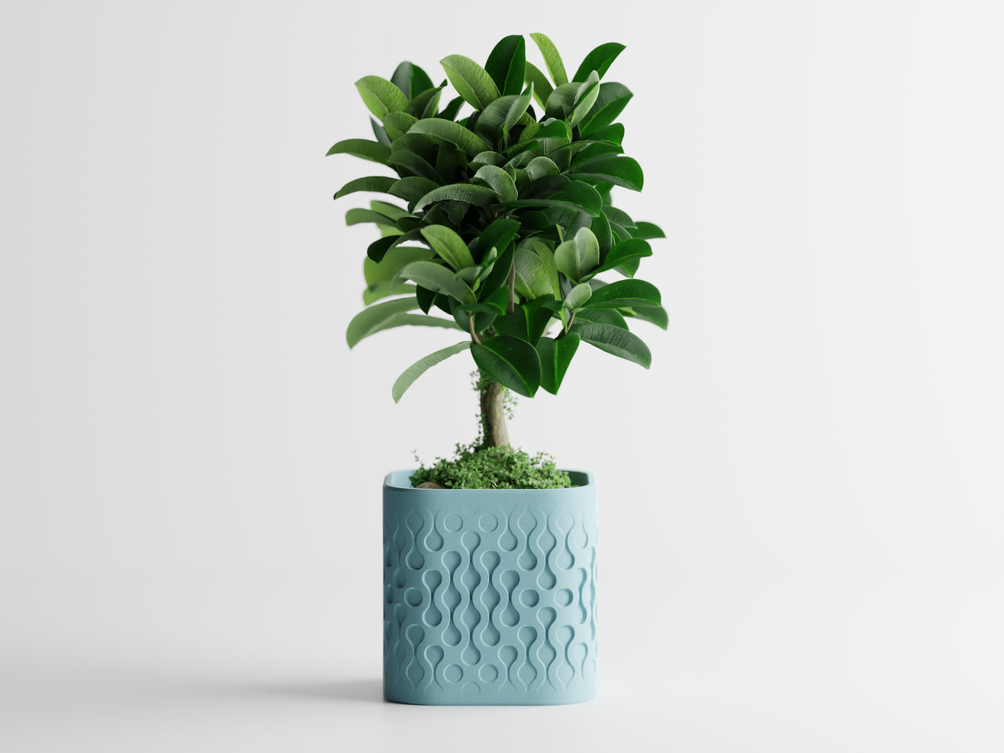 Pulse Planter