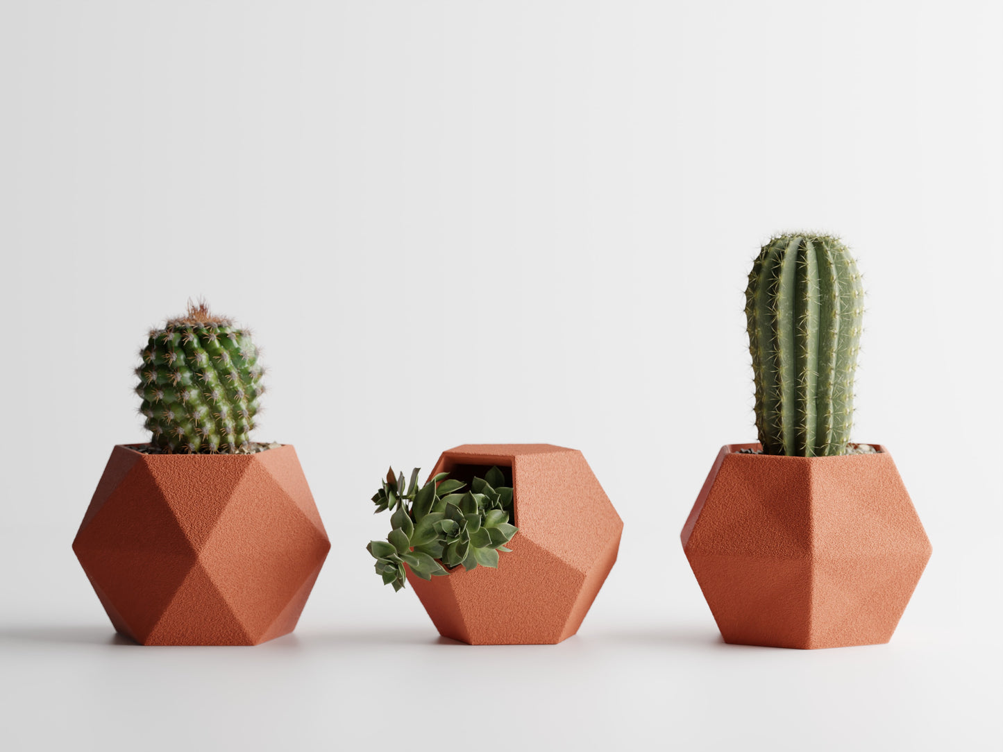 GeoTrio Planter