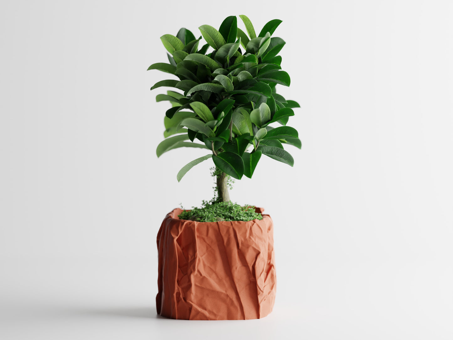 Papira Planter (Rechteckig)