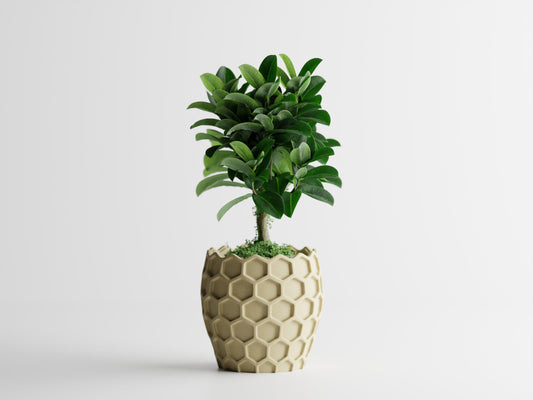 Bienen Planter