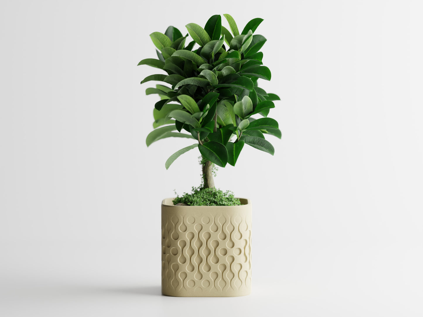 Pulse Planter