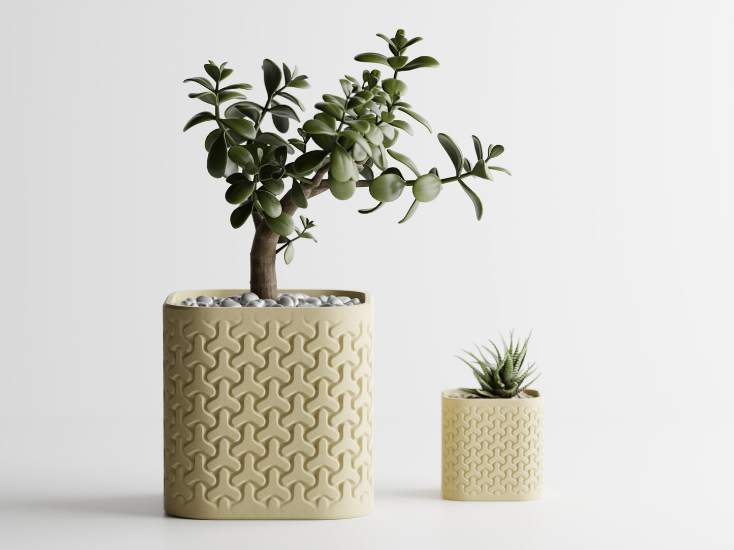 Seraphis Planter