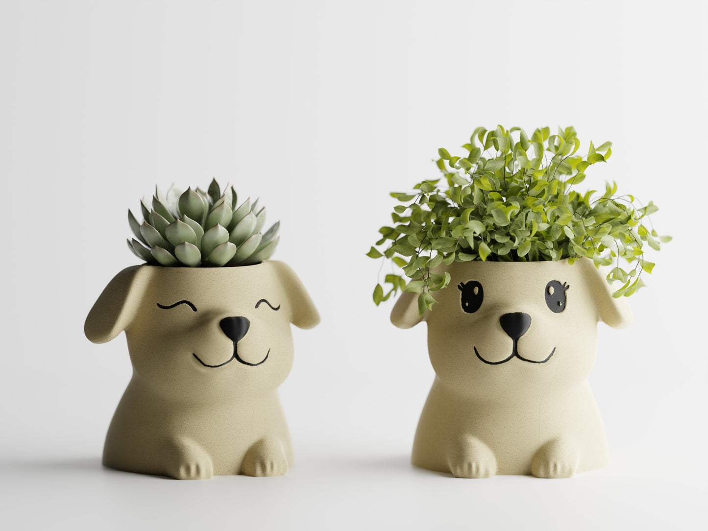 Fido Planter