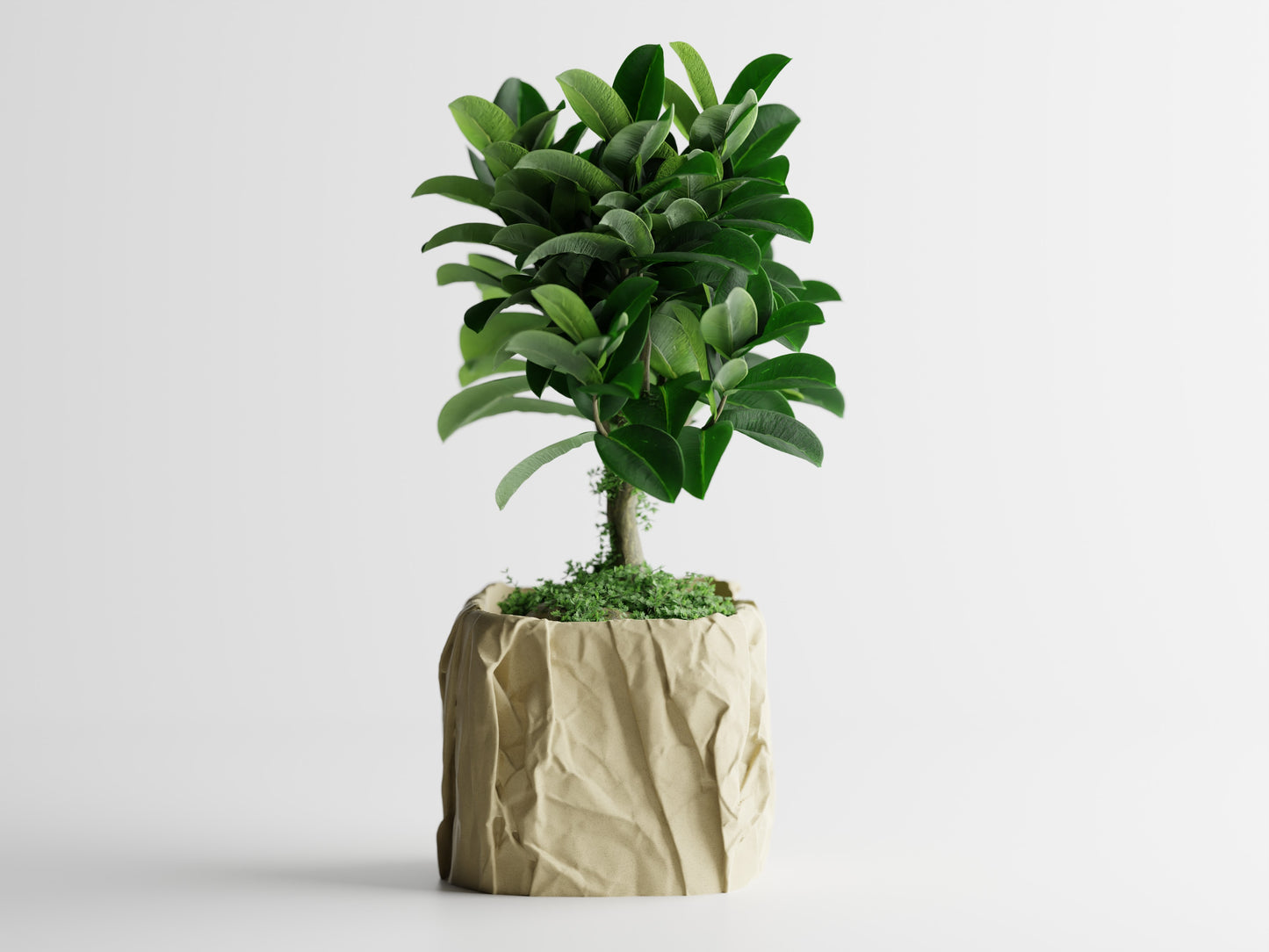 Papira Planter (Rechteckig)
