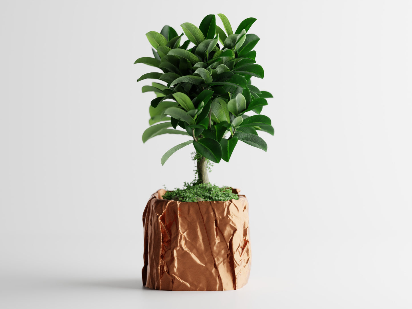 Papira Planter (Rechteckig)