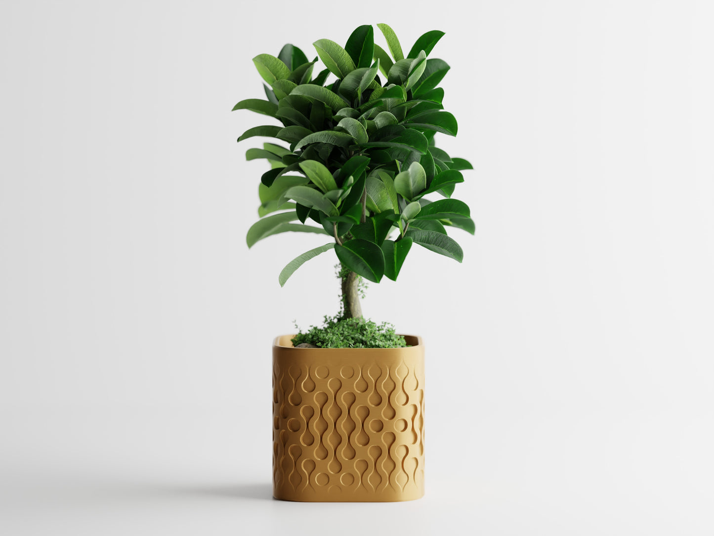 Pulse Planter