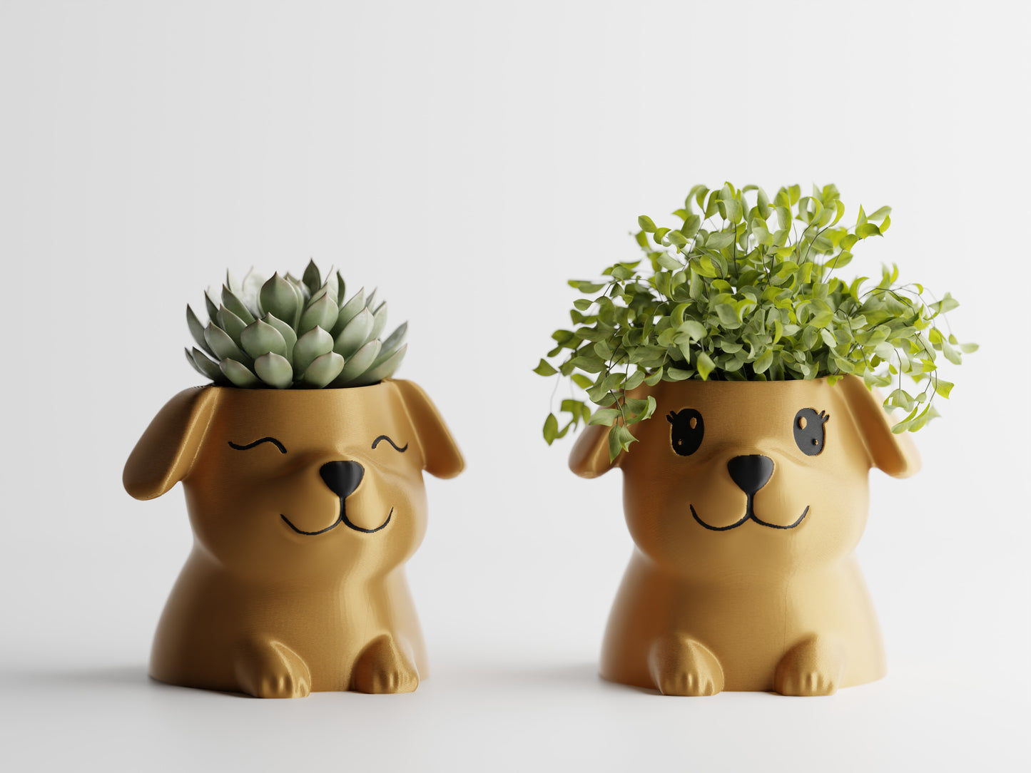Fido Planter