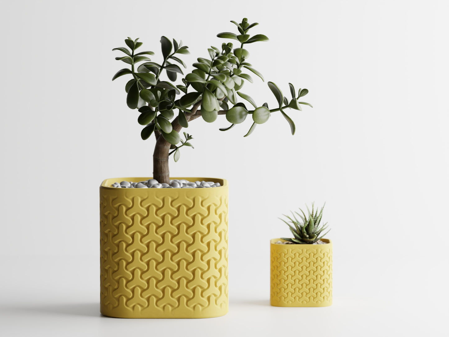 Seraphis Planter