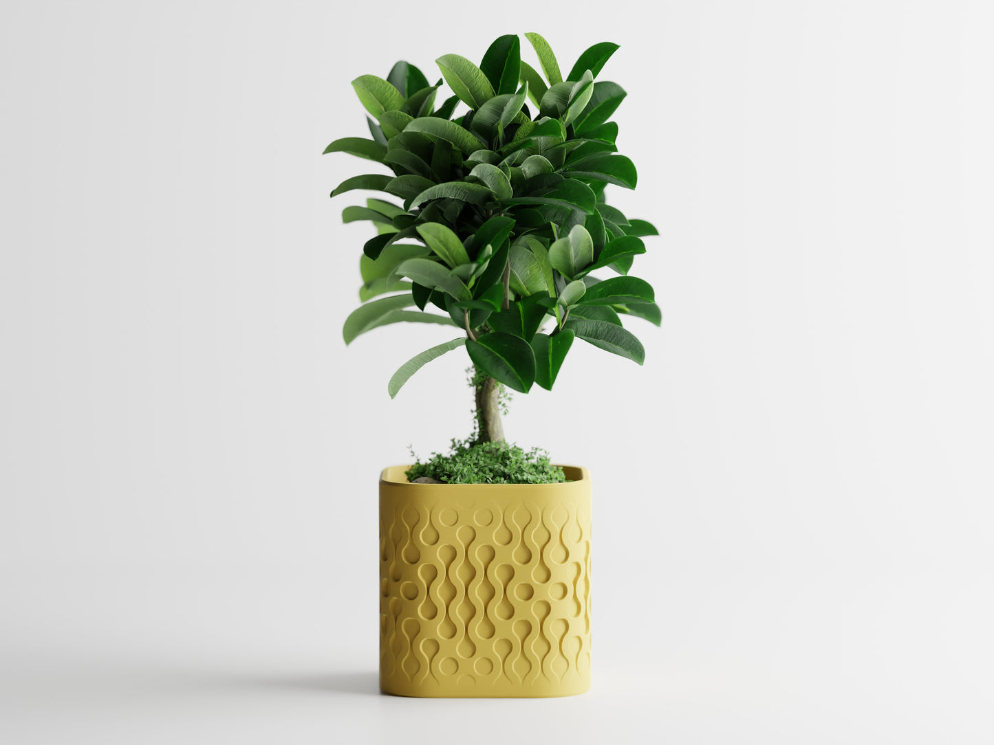 Pulse Planter