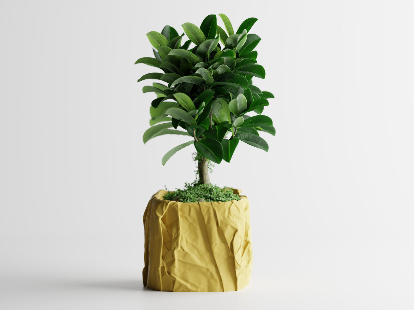 Papira Planter (Rechteckig)