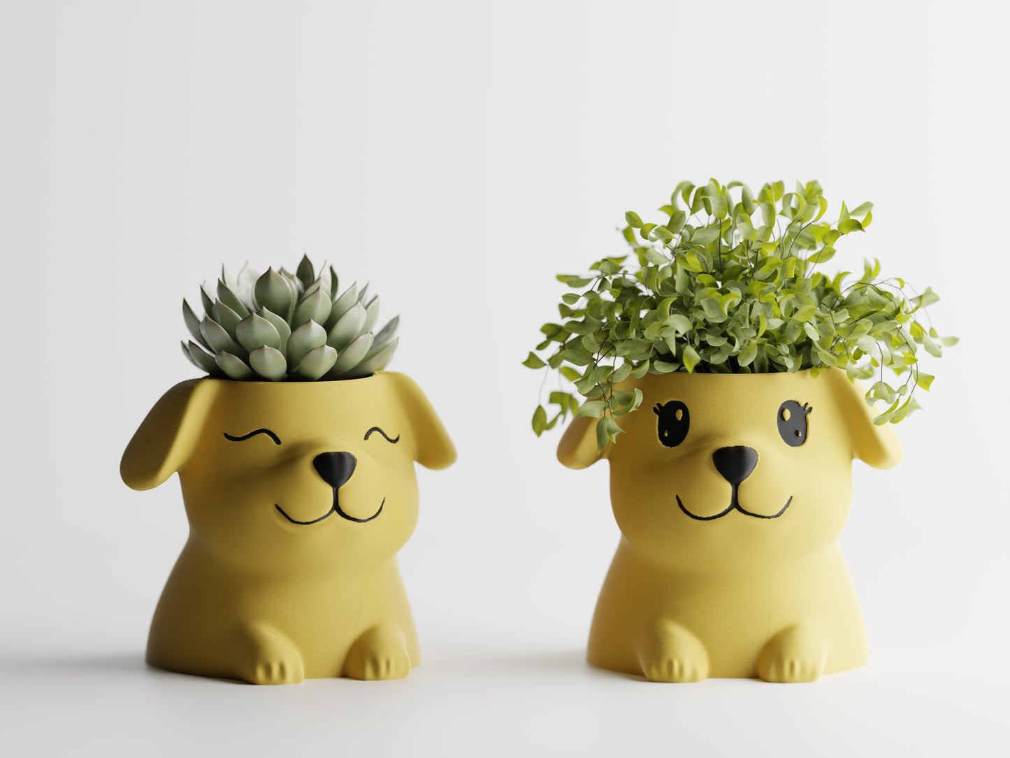 Fido Planter