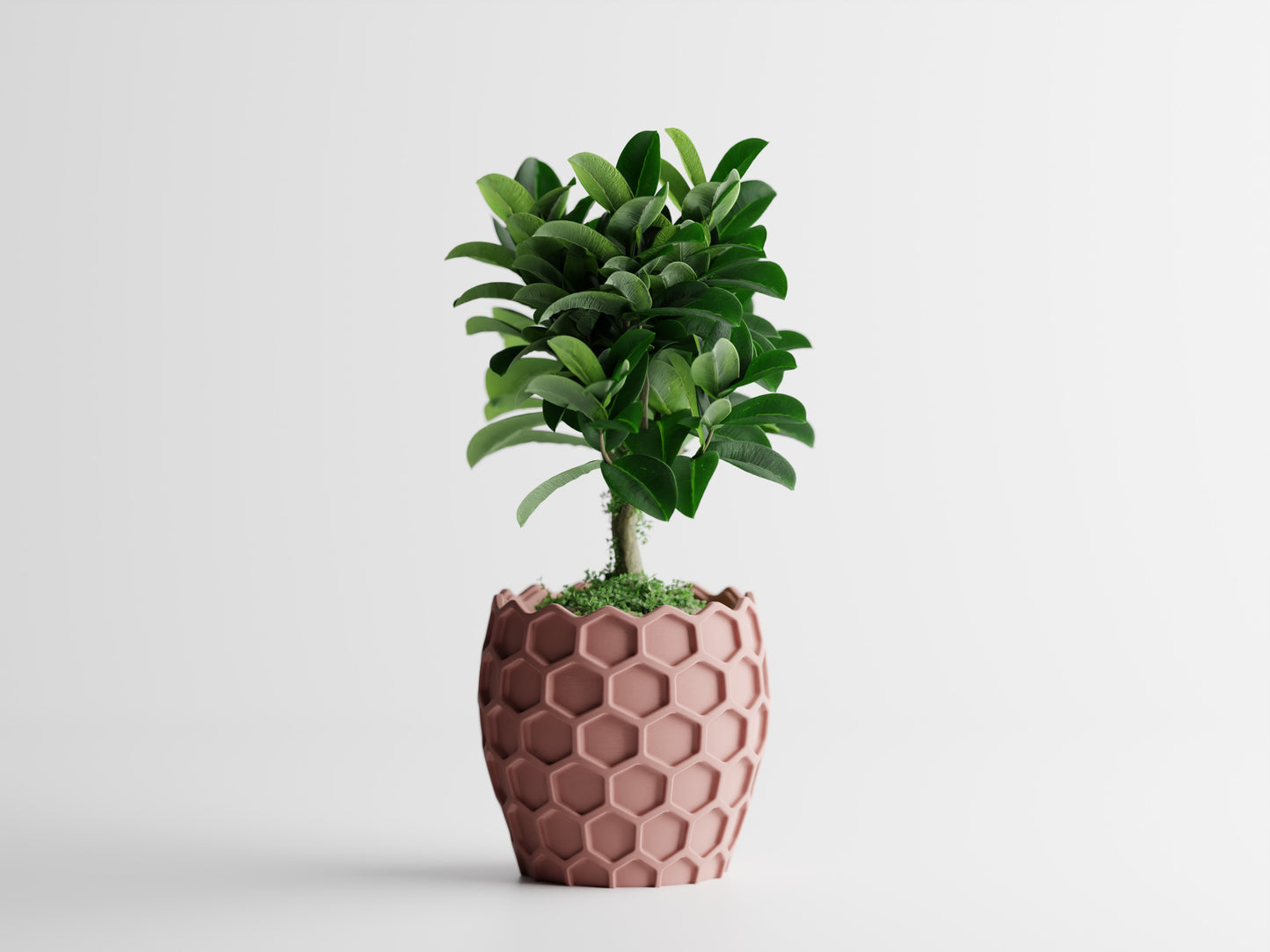 Bienen Planter