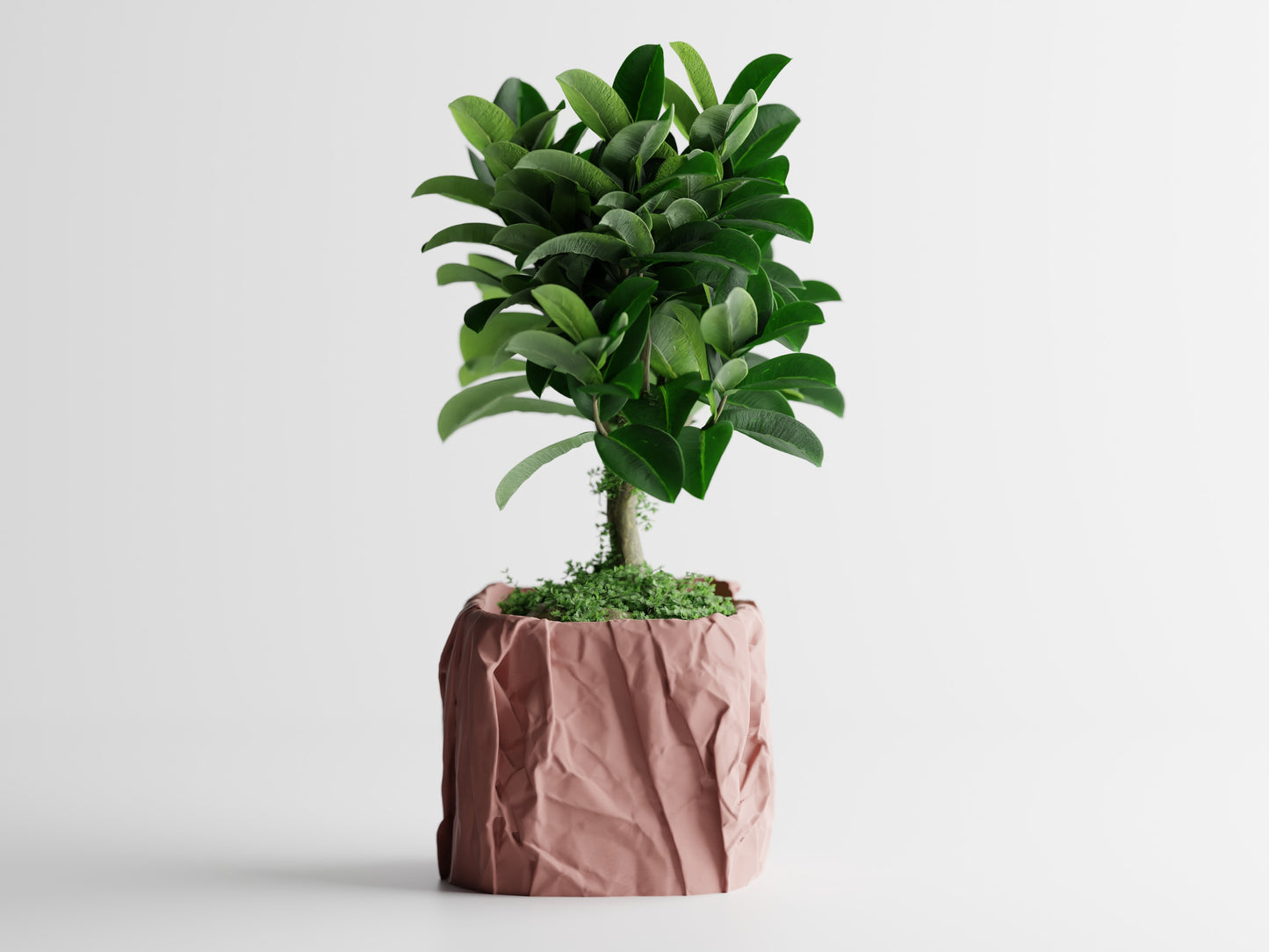 Papira Planter (Rechteckig)