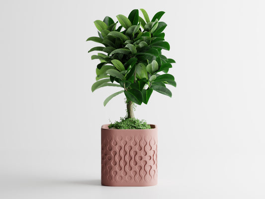 Pulse Planter